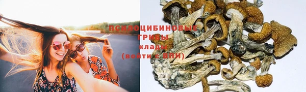 ГАЛЛЮЦИНОГЕННЫЕ ГРИБЫ Алексин