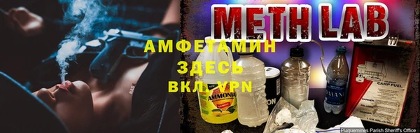индика Семилуки