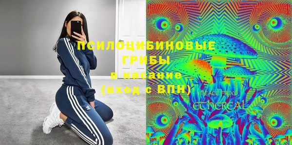 ГАЛЛЮЦИНОГЕННЫЕ ГРИБЫ Алексин