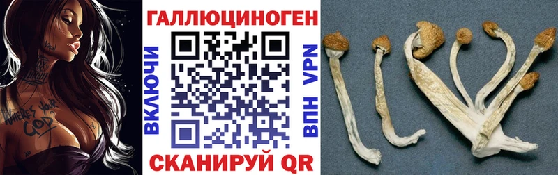 Галлюциногенные грибы мухоморы Харовск